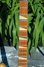 Rickenbacker 366/12 , Natural: Neck - Front