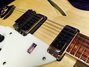 Rickenbacker 360/12 , Mapleglo: Free image2