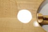 Rickenbacker 330/6 , Mapleglo: Close up - Free2