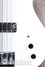 Rickenbacker 4004/4 Laredo, Snowglo: Close up - Free2