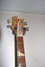 Rickenbacker 4001/4 , Mapleglo: Headstock