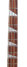 Rickenbacker 4003/4 , Fireglo: Neck - Front