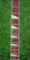 Rickenbacker 375/6 Capri, Autumnglo: Neck - Front