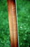 Rickenbacker 375/6 Capri, Autumnglo: Neck - Rear