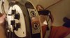 Rickenbacker 360/6 , Jetglo: Close up - Free2