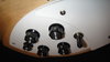 Rickenbacker 360/12 , Mapleglo: Free image