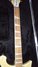 Rickenbacker 620/12 , Mapleglo: Neck - Front