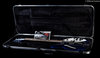 Rickenbacker 360/12 , Midnightblue: Free image