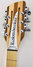 Rickenbacker 360/12 , Natural Walnut: Headstock