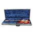 Rickenbacker 360/12 V64, Fireglo: Free image