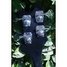 Rickenbacker 4003/4 , Jetglo: Headstock - Rear