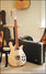 Rickenbacker 610/12 , Mapleglo: Full Instrument - Front
