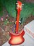 Rickenbacker 360/6 WB, Fireglo: Full Instrument - Rear