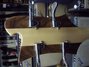 Rickenbacker 4004/4 Laredo, Mapleglo: Headstock - Rear