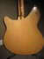 Rickenbacker 360/12 , Mapleglo: Close up - Free2