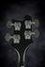 Rickenbacker 4003/4 JPS, Jetglo Pearlstar : Headstock - Rear