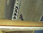 Rickenbacker 4003/4 , Mapleglo: Neck - Rear