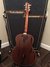 Rickenbacker 385/6 S, Mapleglo: Full Instrument - Rear