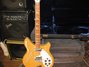 Rickenbacker 360/12 , Mapleglo: Full Instrument - Rear