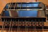 Rickenbacker 660/12 , Mapleglo: Free image
