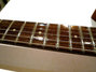 Rickenbacker 310/6 f hole, Fireglo: Close up - Free