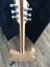 Rickenbacker 330/6 , Mapleglo: Full Instrument - Rear