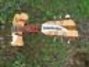 Rickenbacker 330/6 , Mapleglo: Neck - Front