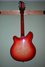 Rickenbacker 360/6 , Fireglo: Full Instrument - Rear