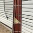 Rickenbacker 4003/4 , Jetglo: Neck - Front