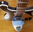 Rickenbacker 660/6 75th Ann, DCMetallic: Free image