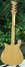 Rickenbacker 610/12 Mod, Mapleglo: Neck - Rear