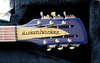 Rickenbacker 660/12 , Midnightblue: Headstock