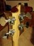 Rickenbacker 4003/4 , Mapleglo: Headstock - Rear