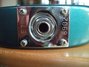 Rickenbacker 650/6 Atlantis, Turquoise: Free image2