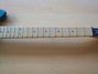 Rickenbacker 650/6 Atlantis, Turquoise: Neck - Front