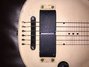 Rickenbacker 59/6 LapSteel, Cream: Body - Front