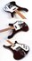 Rickenbacker 480/6 , Eggplant: Free image