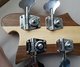 Rickenbacker 4003/4 , Natural Walnut: Headstock - Rear