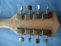 Rickenbacker 5002/8 V58, Mapleglo: Headstock - Rear