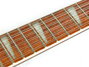 Rickenbacker 360/12 , Blueburst: Close up - Free2