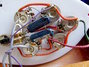 Rickenbacker 330/12 , Fireglo: Close up - Free2