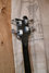 Rickenbacker 4001/4 , Jetglo: Headstock - Rear