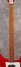 Rickenbacker 4003/5 S, Ruby: Neck - Front