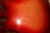 Jun 1965 Rickenbacker 900/6 Tulip, Fireglo: Body - Rear