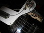 Rickenbacker 4003/4 , Jetglo: Close up - Free