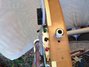 Rickenbacker 4003/4 Mod, Mapleglo: Close up - Free