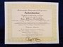 Rickenbacker 370/12 RM, Mapleglo: Free image
