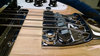 Rickenbacker 4003/4 , Mapleglo: Close up - Free2