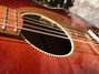 Rickenbacker 700/12 PW Build (acoustic), Wine Burst: Free image