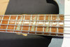 Rickenbacker 4003/4 Mod, Black: Neck - Front